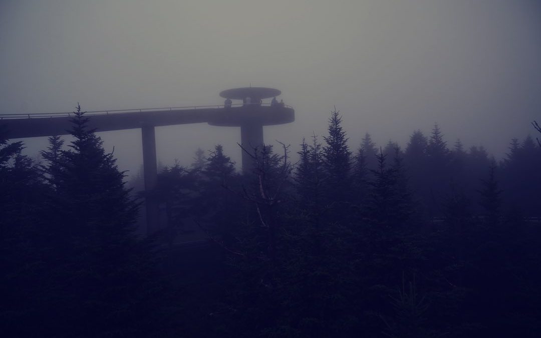 Clingmans Dome is in Great Smoky Mountains National Park. The peak is accessible…