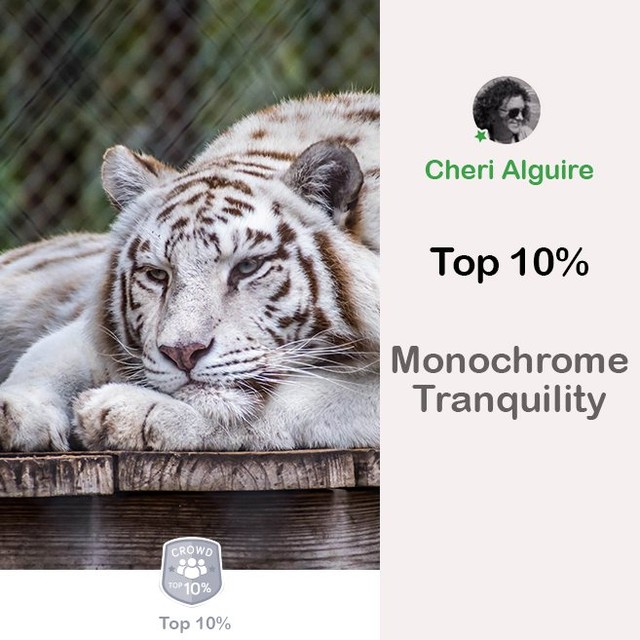 Here are the best black and white photos showing relaxed situations and moments!…