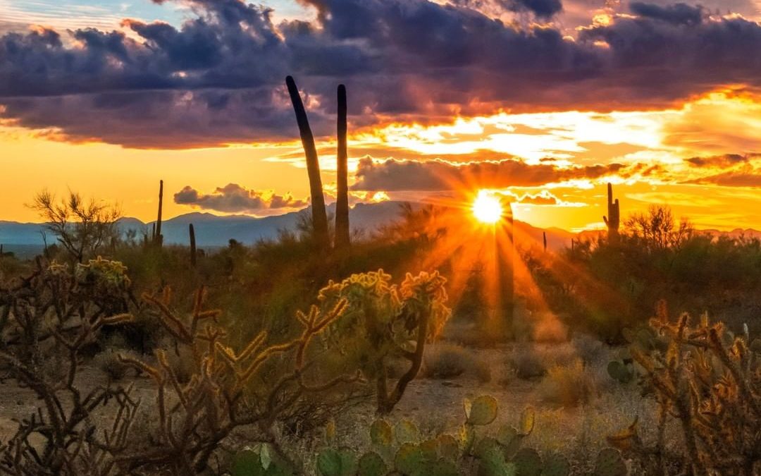 Sunsets in the Sonoran Desert are spectacular!  Tucson Mountain Park just south …