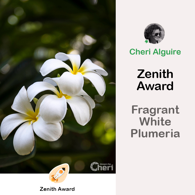 Viewbug.com: Zenith Award “Most Popular Shot”