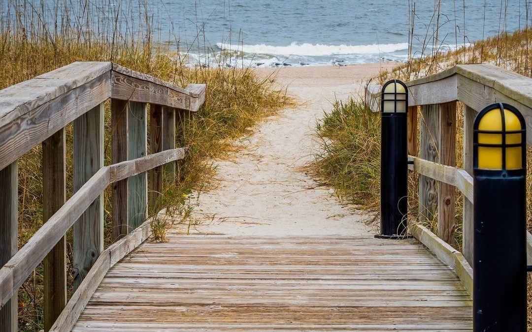 Beyond the Wooden Pathway to the Beach

On a hot summer day, I love to go to the…