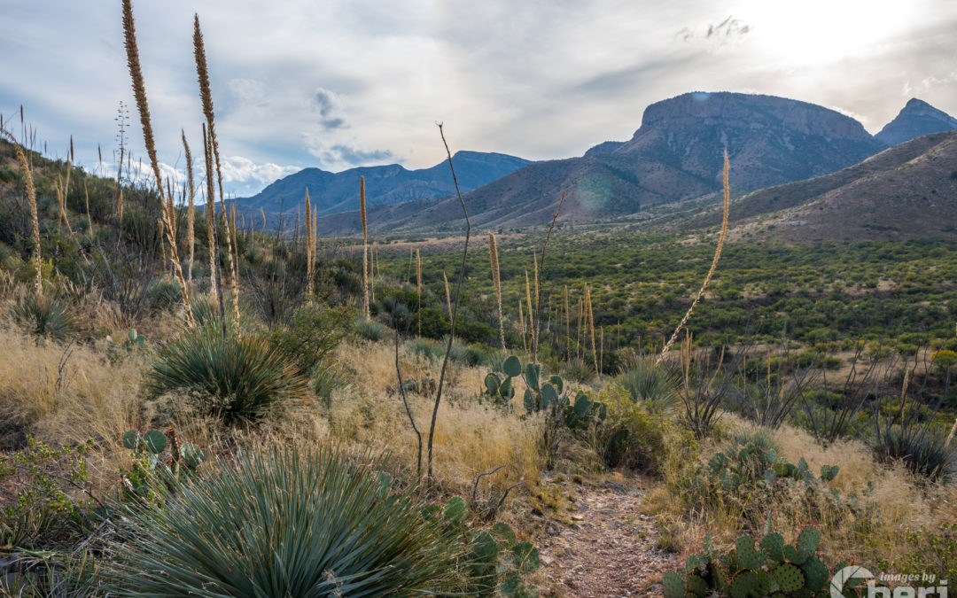 7 Natural Wonders In Arizona