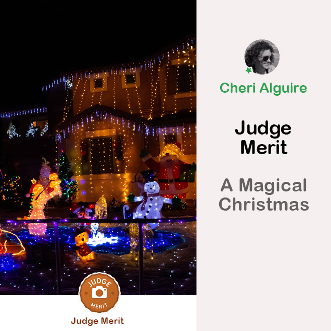 PhotoCrowd.com: Merited by the Judge in ‘A Magical Christmas’ Contest