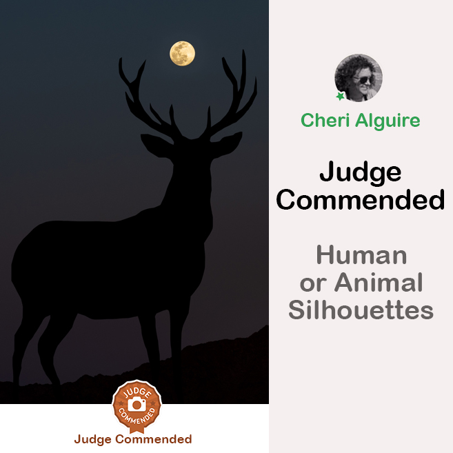 PhotoCrowd.com: Commended by the Judge in ‘Human or Animal Silhouettes ’ Contest