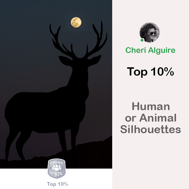 PhotoCrowd.com: Ranked Top 10% in ‘Human or Animal Silhouettes’ Contest