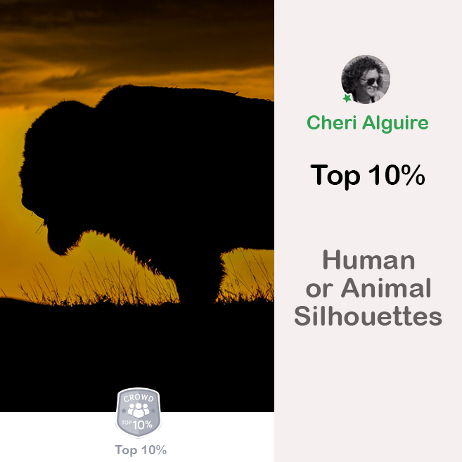 PhotoCrowd.com: Ranked Top 10% in ‘Human or Animal Silhouettes’ Contest