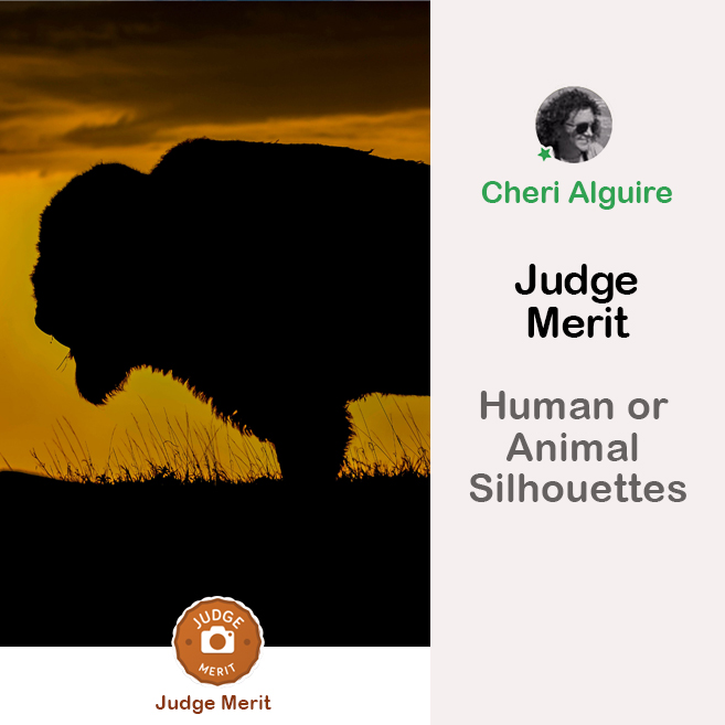 PhotoCrowd.com: Merited by the Judge in ‘Human or Animal Silhouettes’ Contest