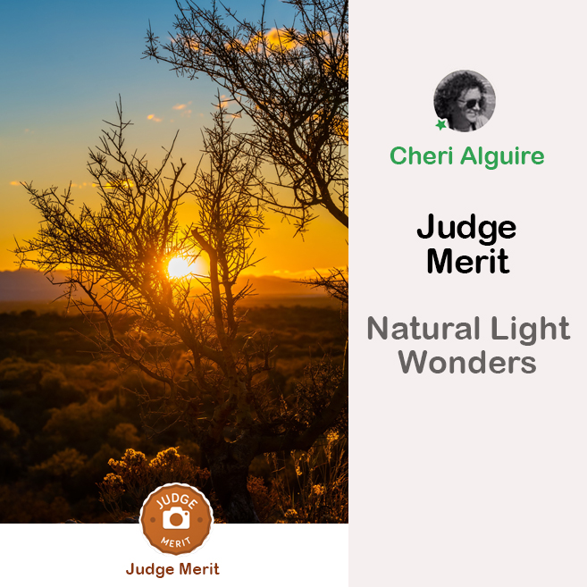 PhotoCrowd.com: Merited by the Judge in ‘Natural Light Wonders’ Contest