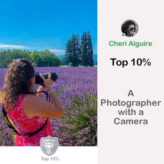 PhotoCrowd.com: Ranked Top 10% in ‘A Photographer with a Camera’ Contest