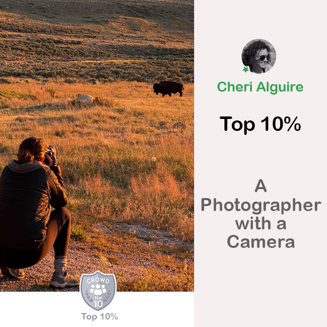 PhotoCrowd.com: Ranked Top 10% in ‘A Photographer with a Camera’ Contest