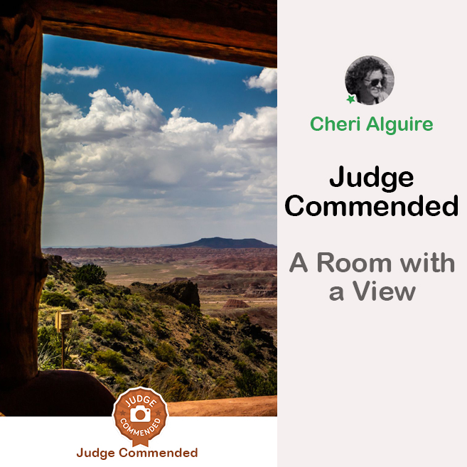 PhotoCrowd.com: Commended by the Judge in ‘A Room with a View’ Contest