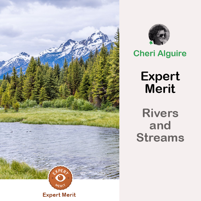 PhotoCrowd.com: Merited by the Expert in ‘Rivers and Streams’ Contest