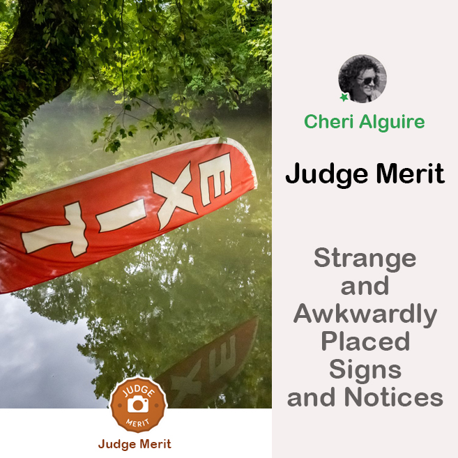 PhotoCrowd.com: Merited by the Judge in ‘Strange and Awkwardly Placed Signs and Notices’ Contest