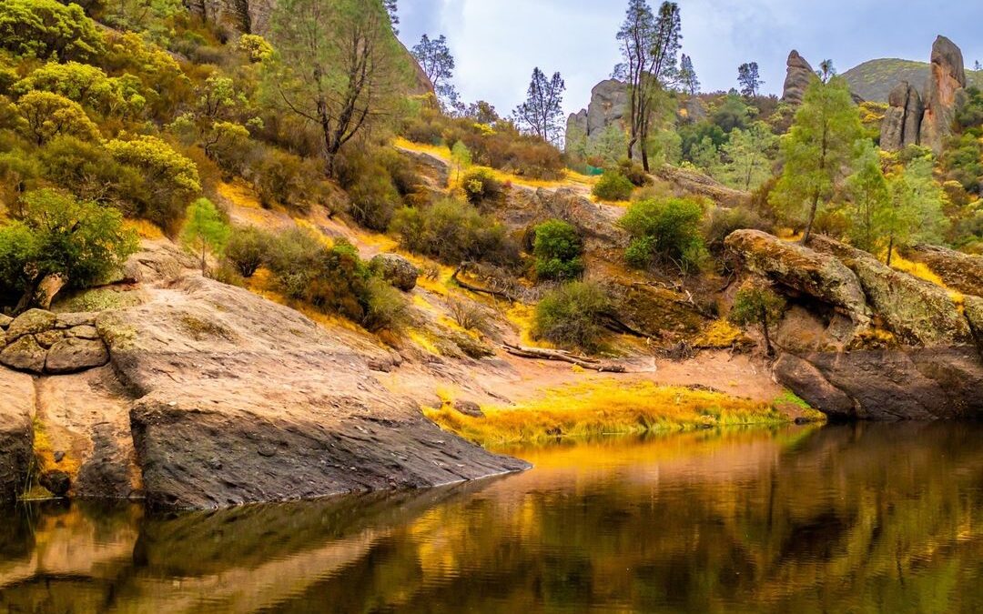 Visiting Pinnacles National Park is a hiker’s paradise. Although this wonder of …