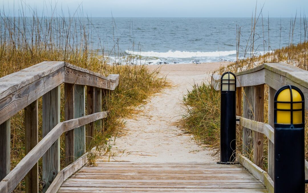 Trail to Paradise: Wooden Pathway to the Beach