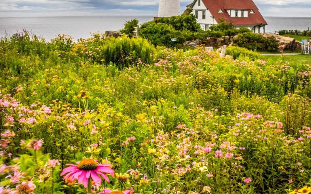 Lighthouse Garden: Portland Head Light