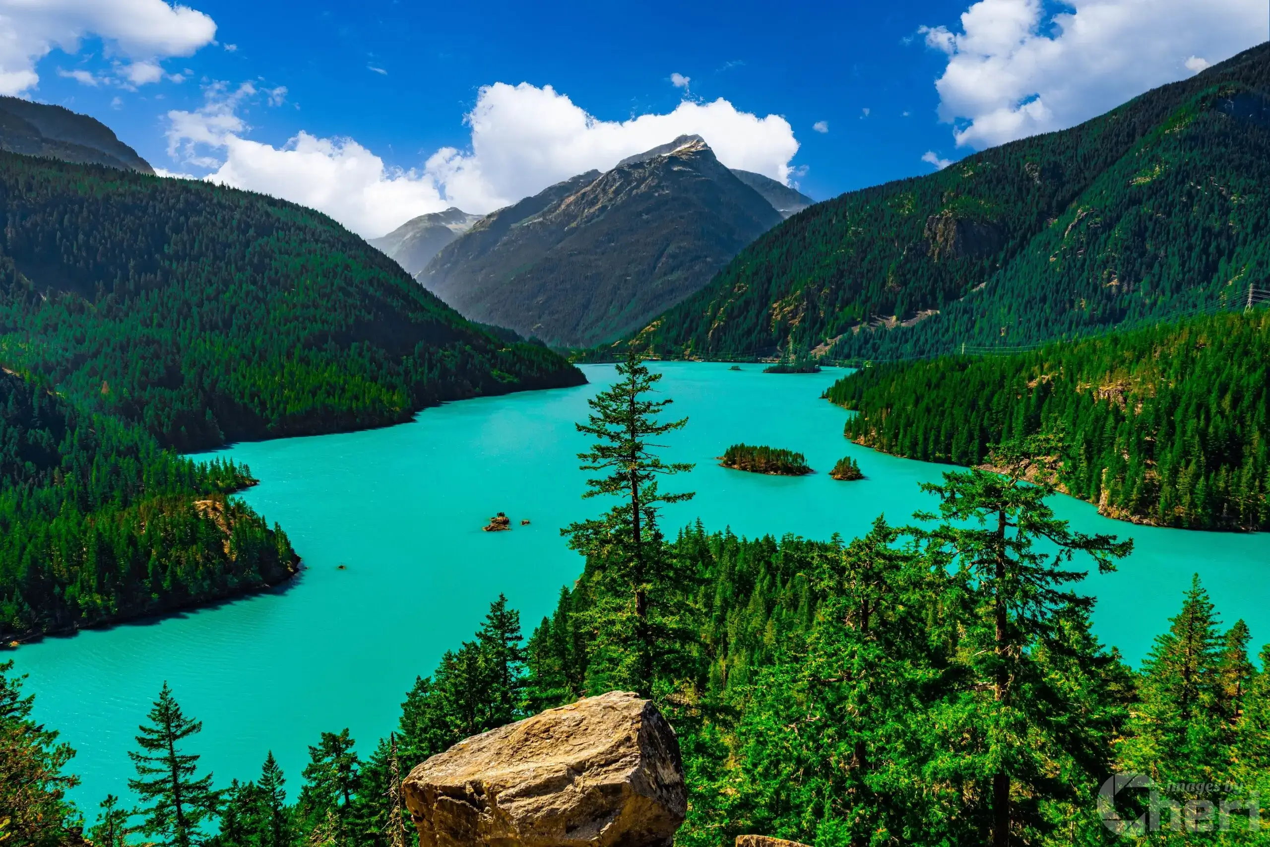 Ross Lake by Cheri Alguire