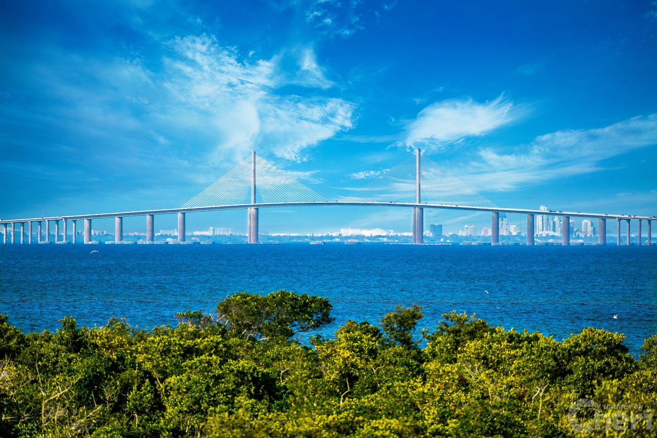 Bridging Horizons: Sunshine Skyway Bridge