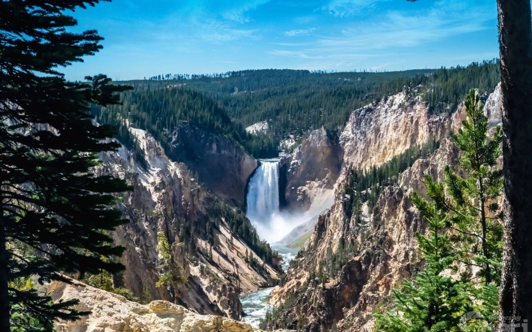 Rushing Waters: Lower Falls at Yellowstone