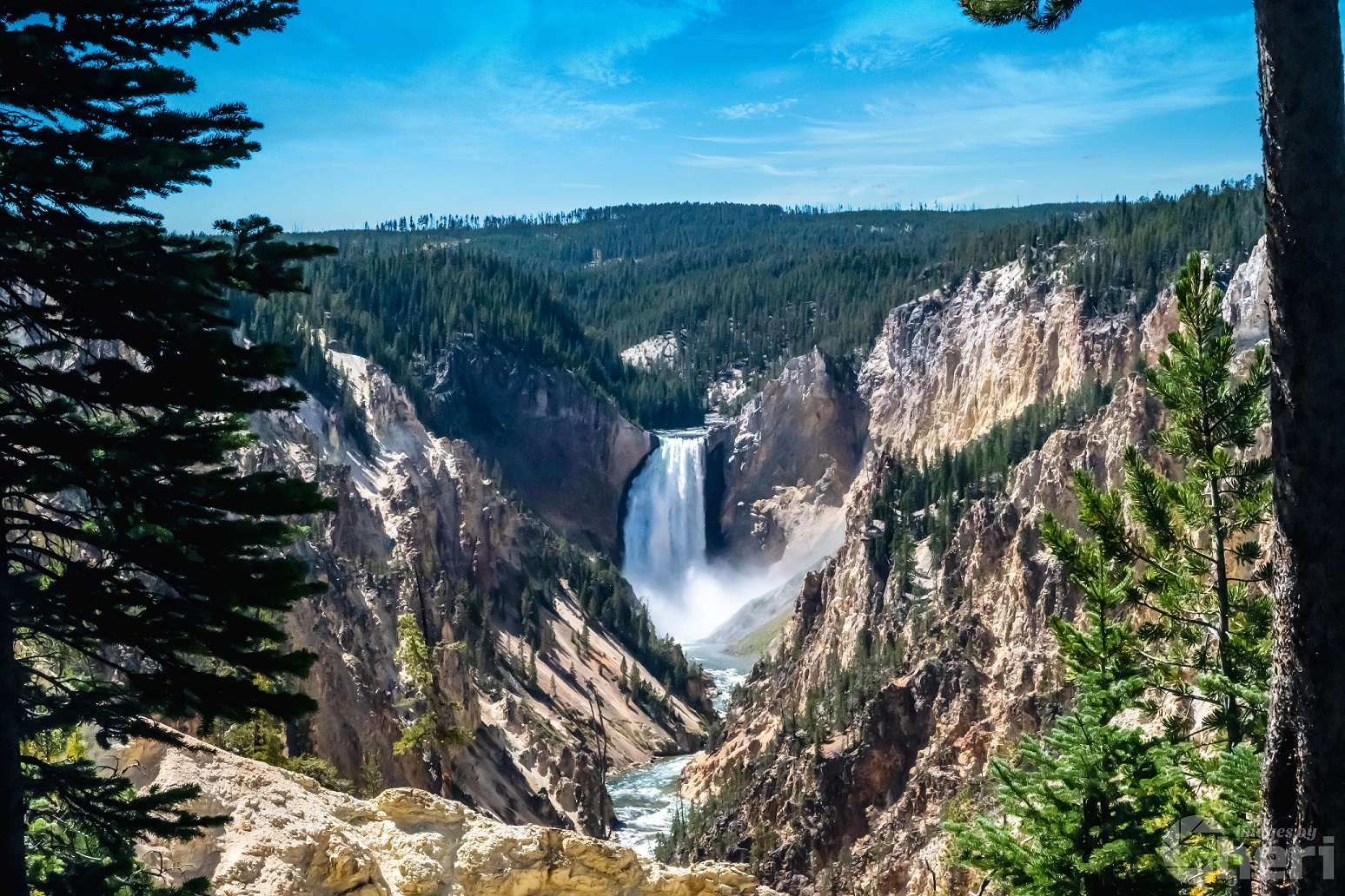 Rushing Waters: Lower Falls at Yellowstone