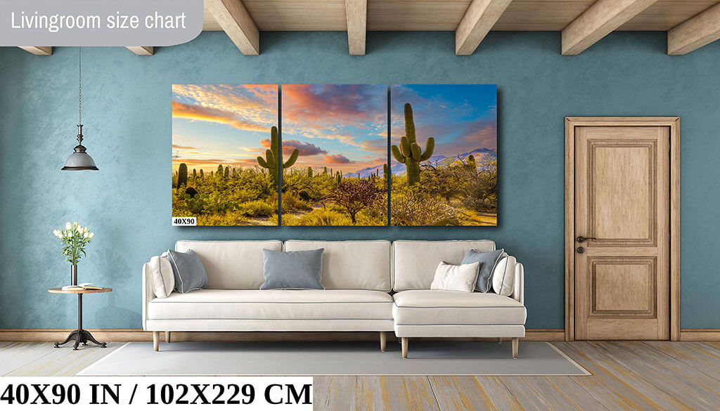 Cactus Kingdom: Giant Cactus Sabino Canyon Diagram