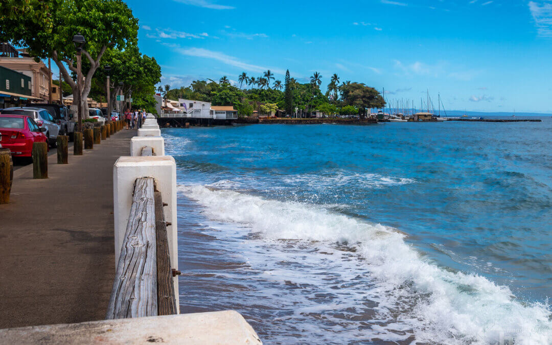 Lahaina Sea Wall: Lahaina Oceanfront