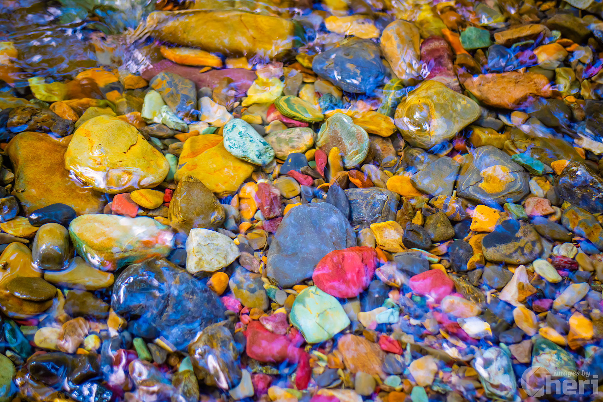 Jewels of the Rockies: Rainbow Rocks Lake McDonald