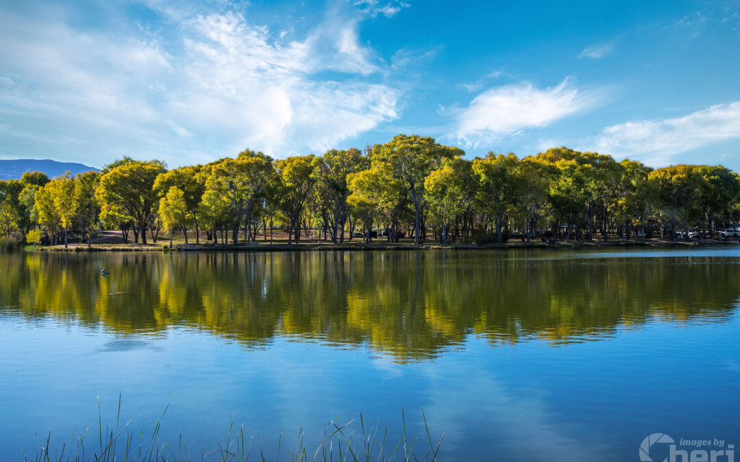 Lakeside Oasis: Serenity by the Lake