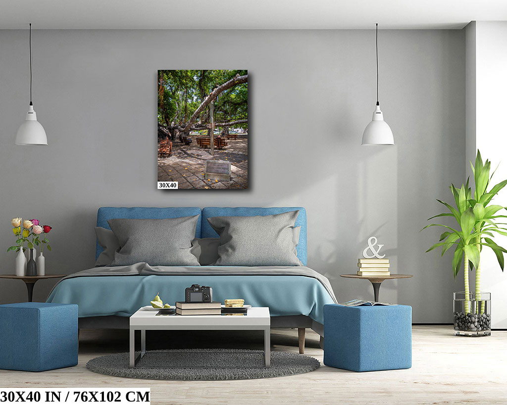 Nature’s Canopy: Banyan Tree Diagram