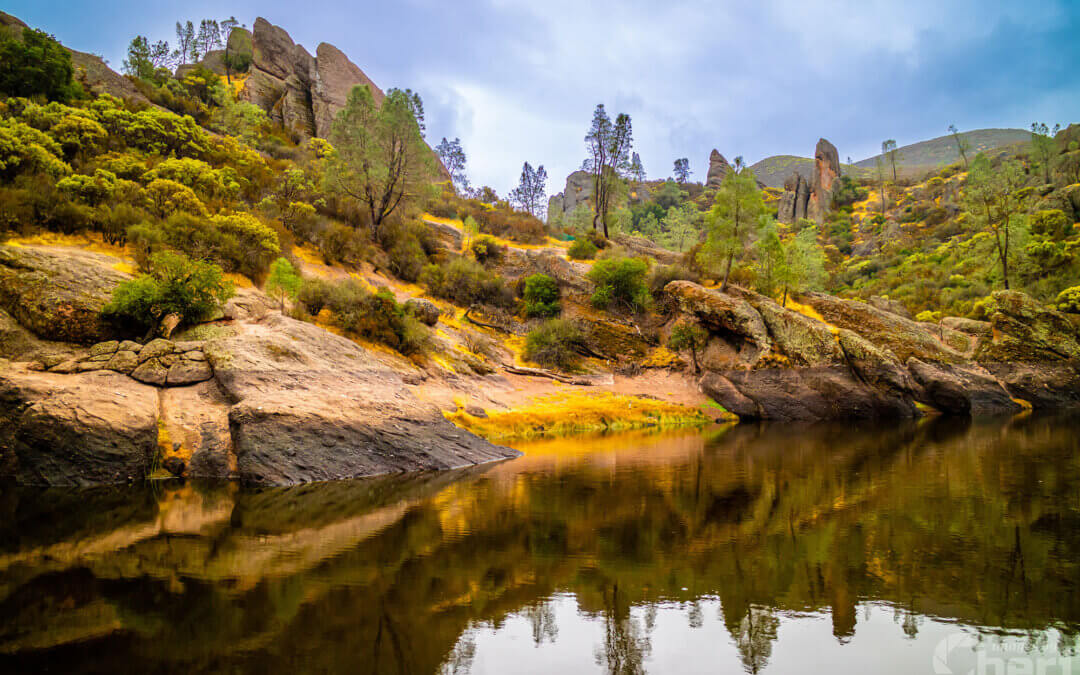 Peak Perspectives: Pinnacles National Park