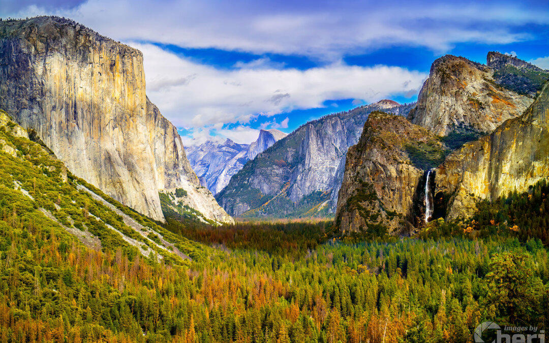 Portal to Paradise: Tunnel View