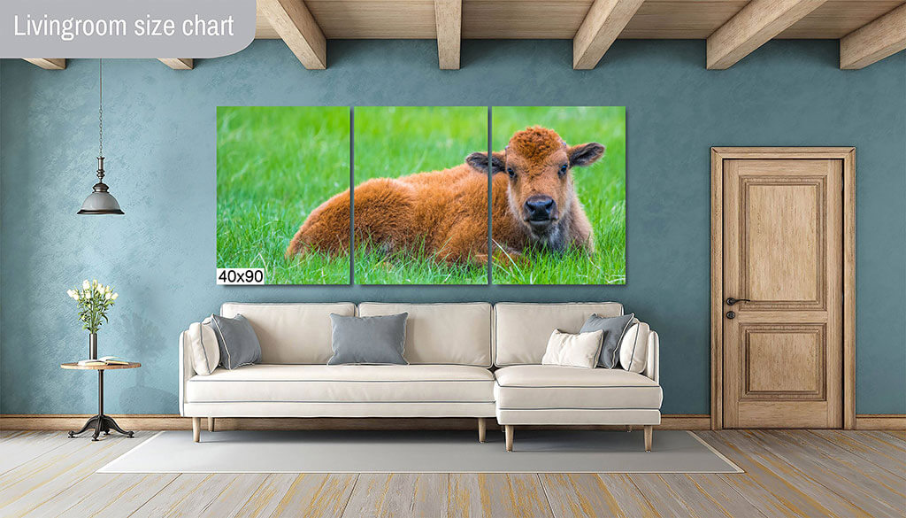 Resting Red Dog: Baby Bison Diagram