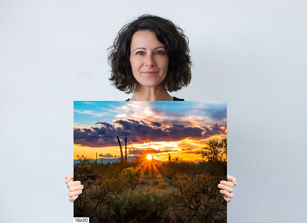 Sun-Kissed Beauty: Sonoran Desert Sunset Diagram