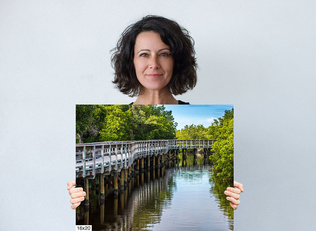 Whispers of the Mangrove: Boardwalk Bridge Diagram