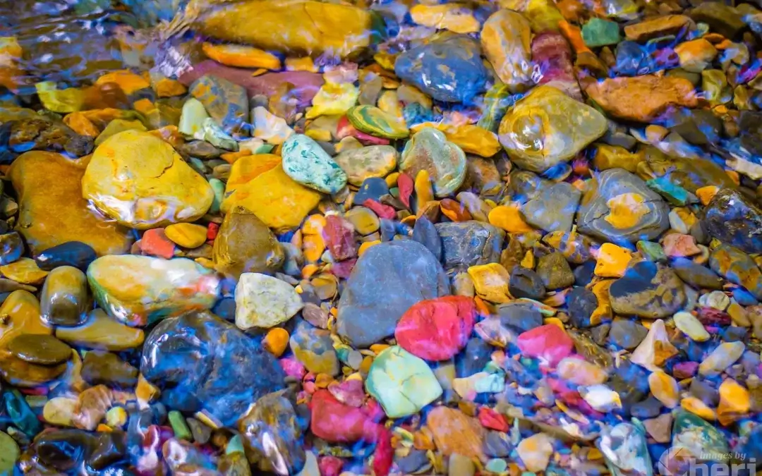 Jewels of the Rockies: Rainbow Rocks Lake McDonald