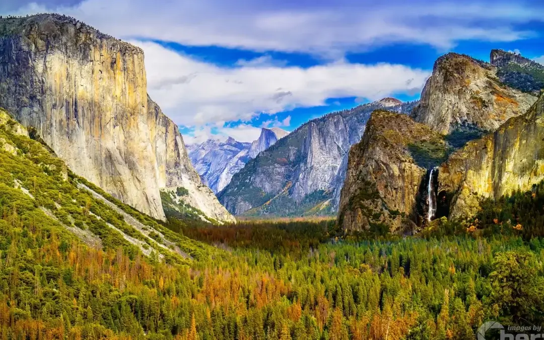 Portal to Paradise: Tunnel View