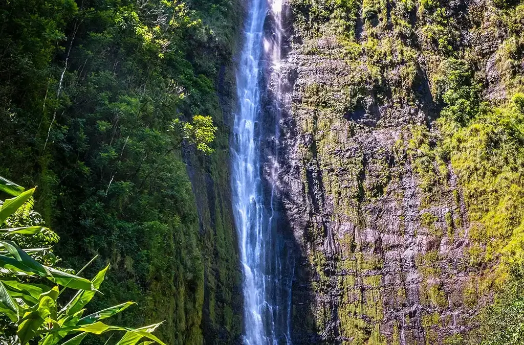 Eternal Rush: Waimoku Falls