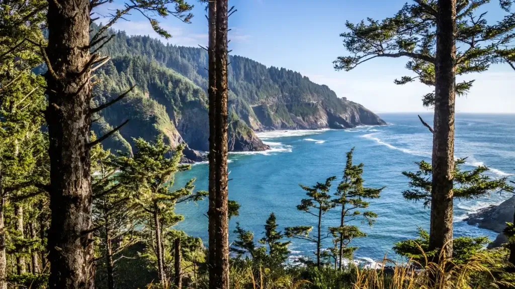 The Pacific Ocean seen from the coast of Oregon in Heceta Head Lighthouse State Park