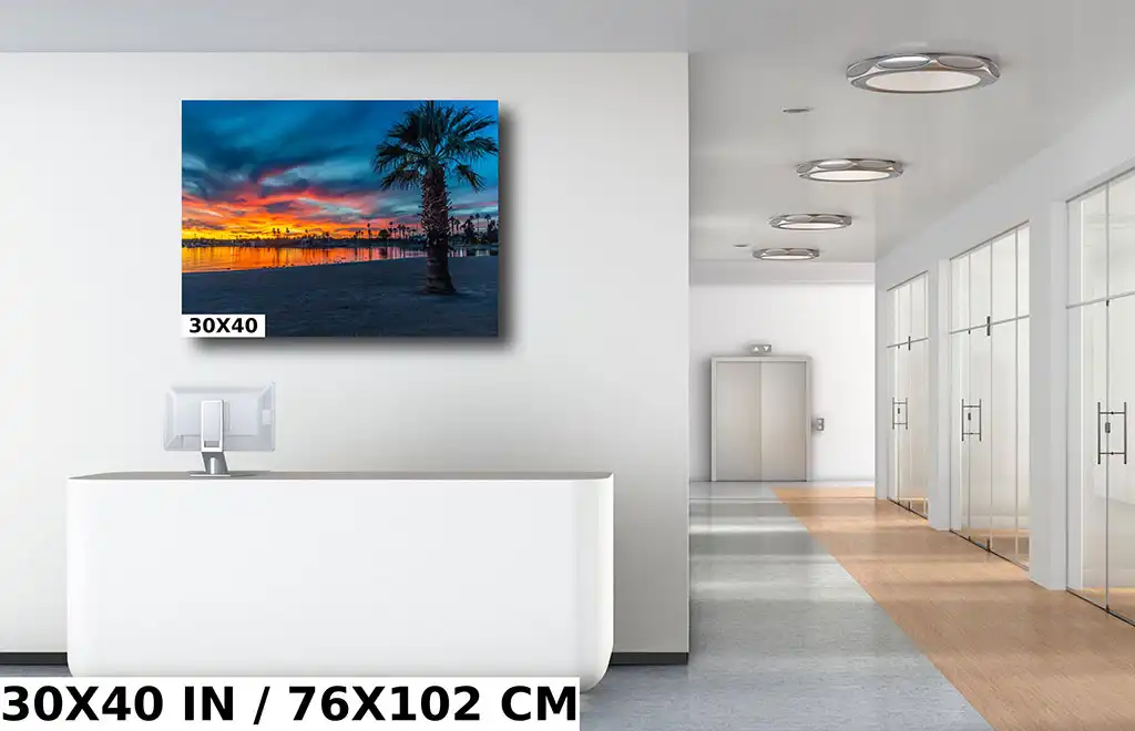 Tranquil Waterfront: Palm Trees at the Lake Havasu Rotary Beach Diagram