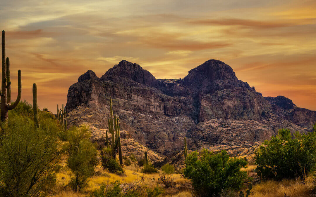 Golden Southwest: Arizona American Southwest Landscape