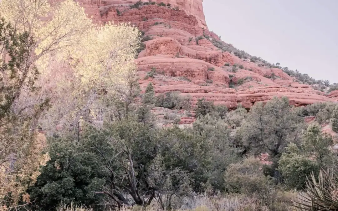 Majestic Vortex: Bell Rock Sedona