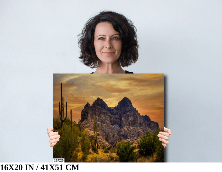 Golden Southwest: Arizona American Southwest Landscape Diagram