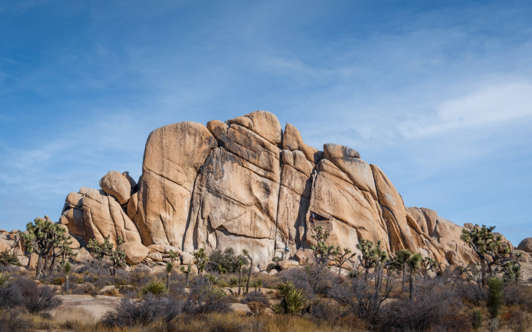 Earth’s Sculptors: Rock Formations of Joshua Tree National Park