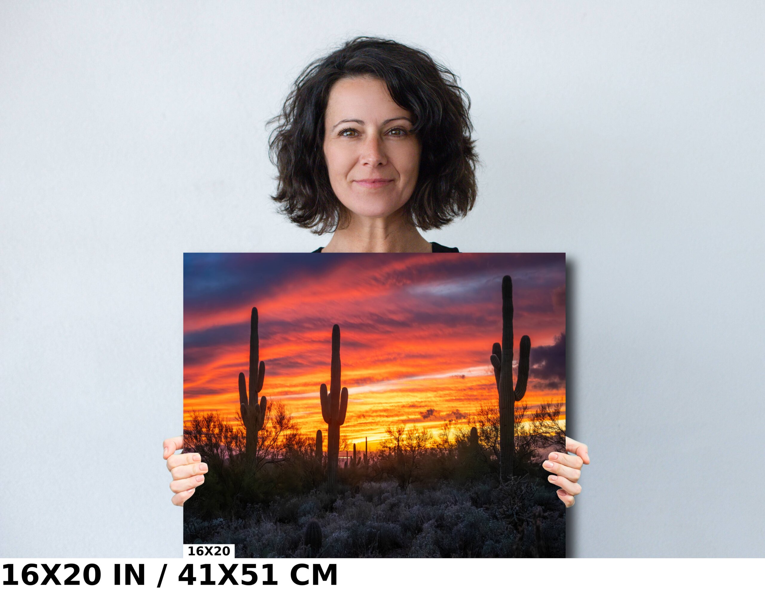 Dazzling Desert Sunset: Saguaro Cactus Diagram