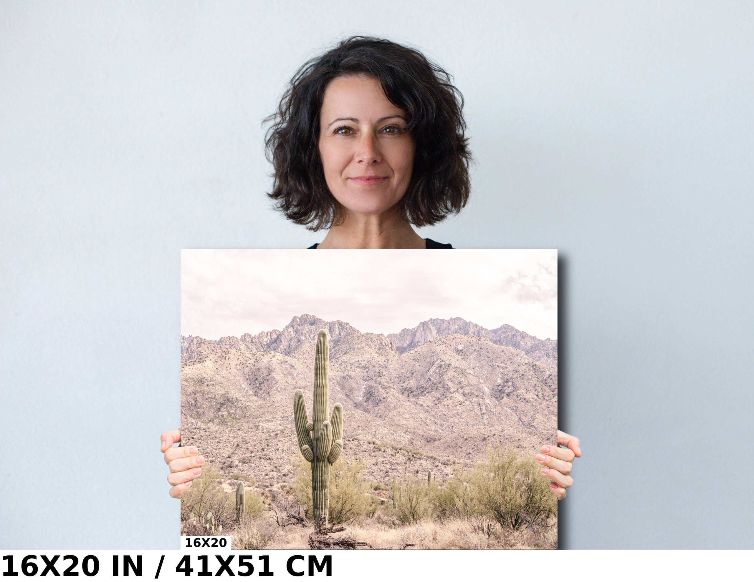 Eternal Desert Solitude: Saguaro Cactus Diagram