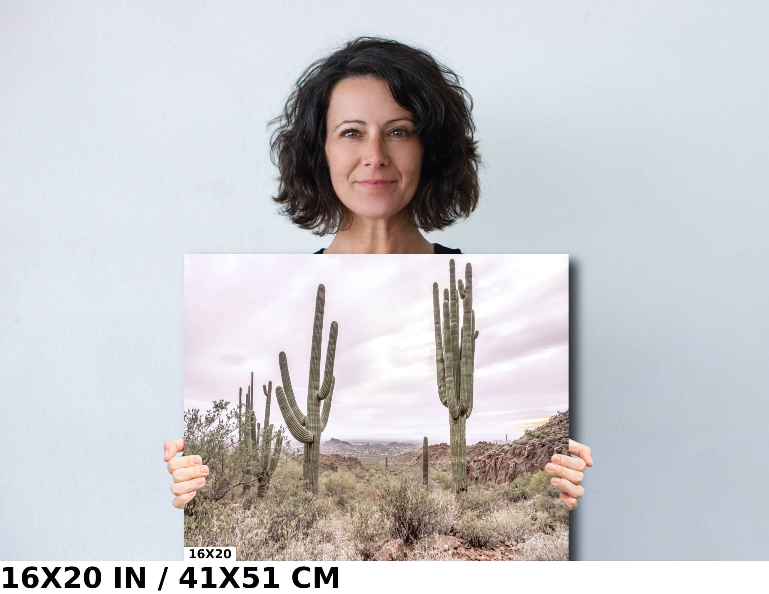 Gold Canyon Wonder: Saguaro Cactus Diagram