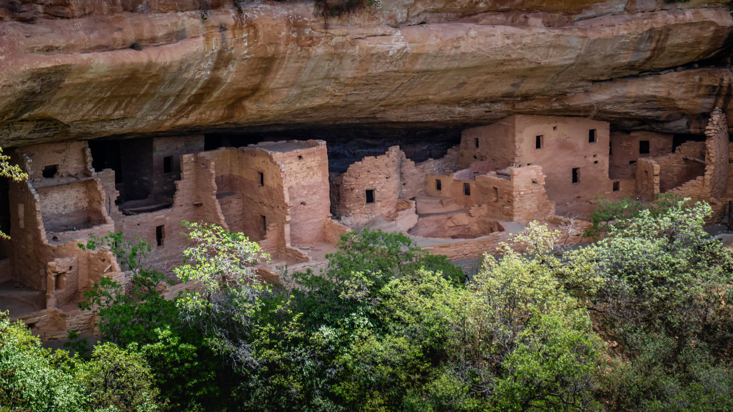 Ancient Architecture: Spruce Tree House