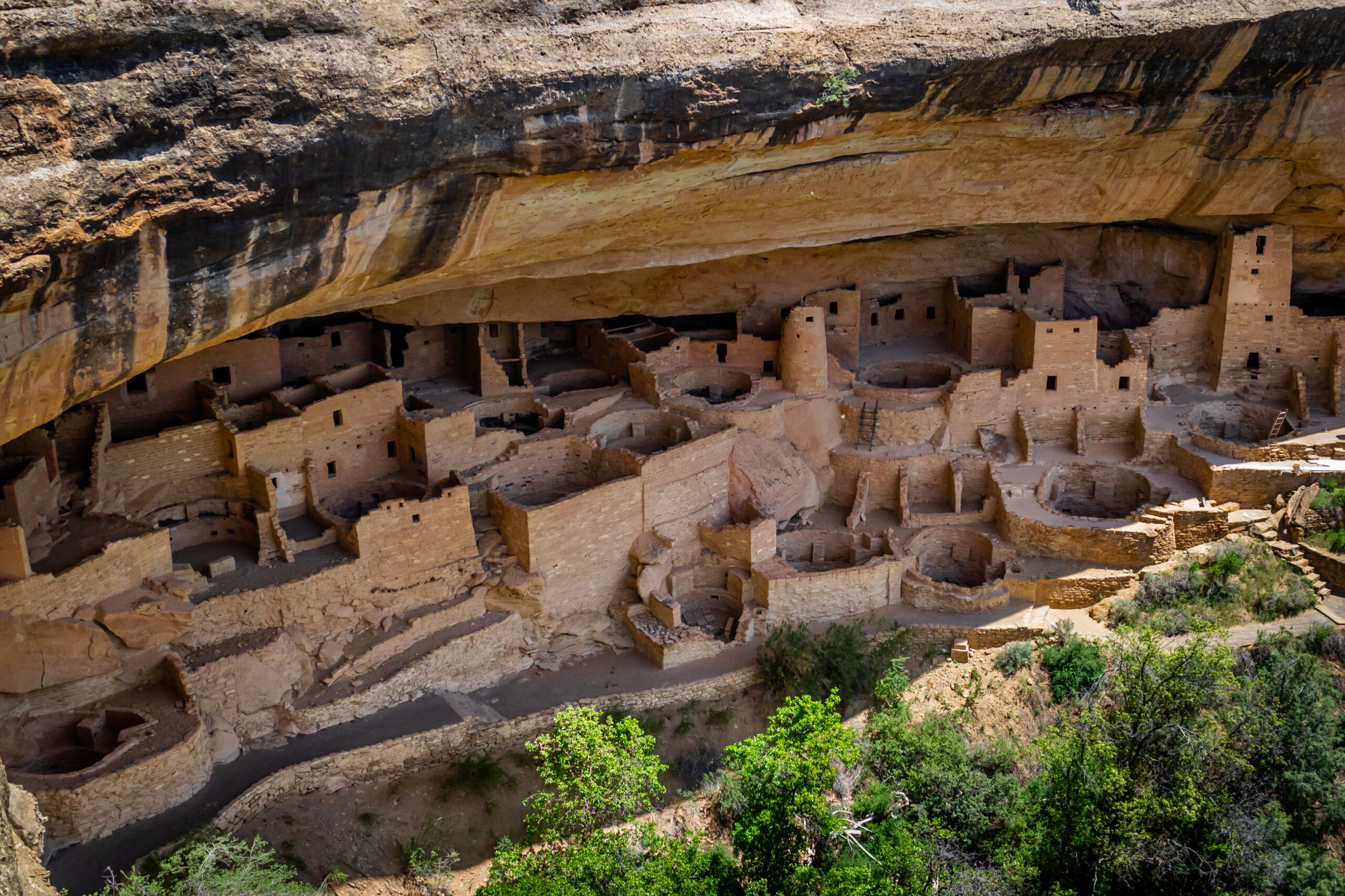 Sculpted in Stone: Puebloan Cliff Palace