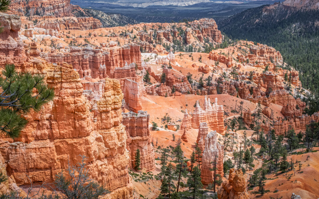 Layers of Light: Bryce Canyon National Park