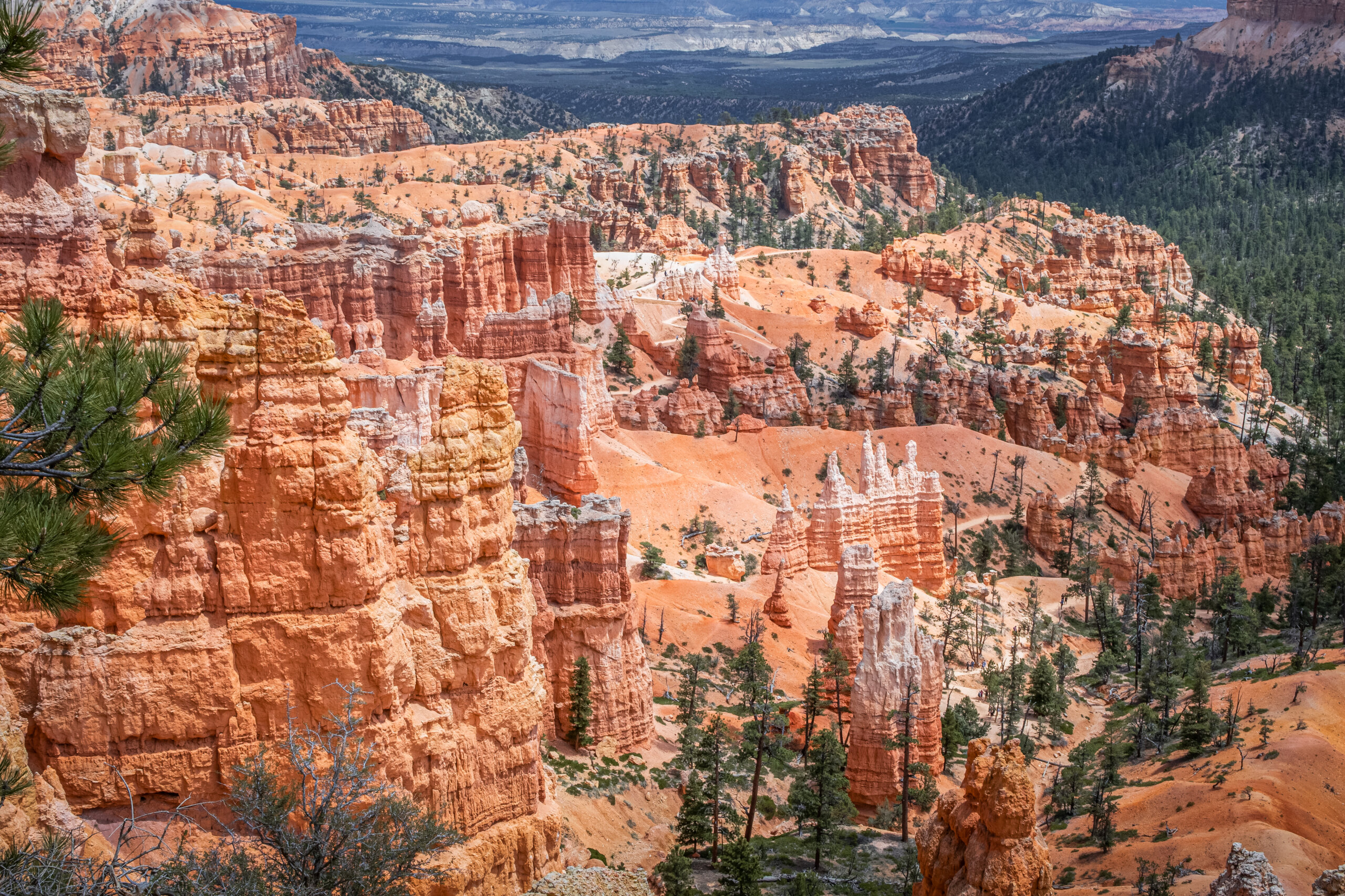 Layers of Light: Bryce Canyon National Park